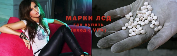 ПСИЛОЦИБИНОВЫЕ ГРИБЫ Верея