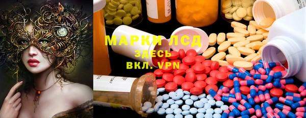 ПСИЛОЦИБИНОВЫЕ ГРИБЫ Верея