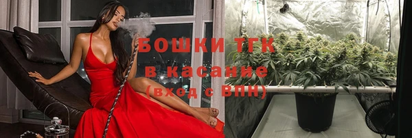ПСИЛОЦИБИНОВЫЕ ГРИБЫ Верея