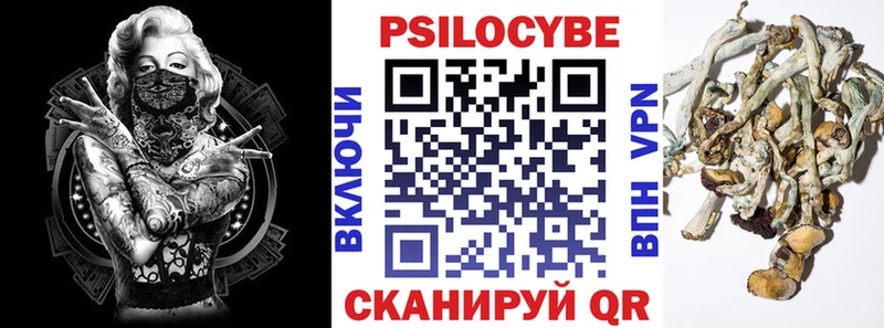 Псилоцибиновые грибы GOLDEN TEACHER  Ковров 